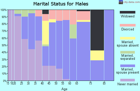 Zip code 14136 marital status for males