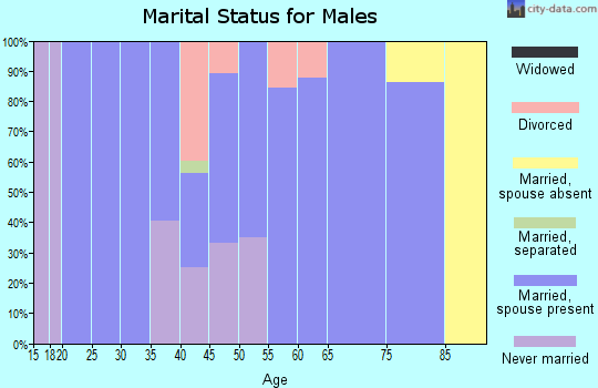 Zip code 14139 marital status for males
