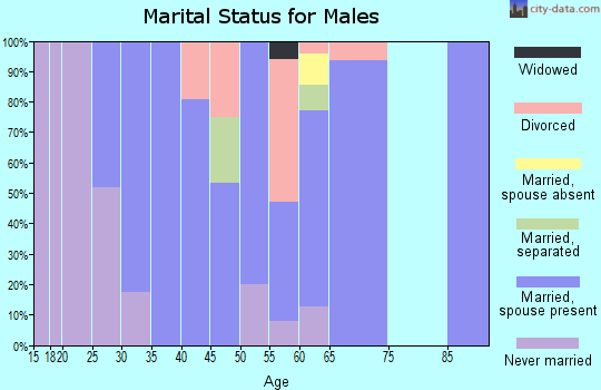 Zip code 14143 marital status for males
