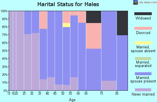 Zip code 14145 marital status for males