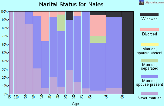 Zip code 14167 marital status for males