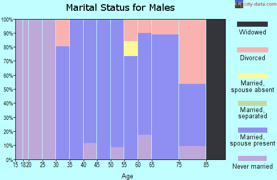 Zip code 14170 marital status for males