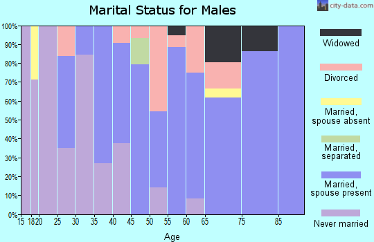 Zip code 14171 marital status for males