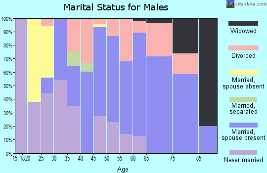 Zip code 14172 marital status for males