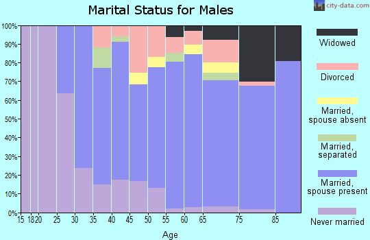 Zip code 14174 marital status for males