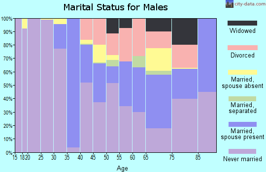 Zip code 14204 marital status for males