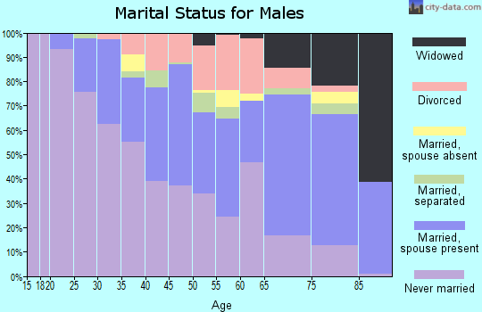 Zip code 14207 marital status for males