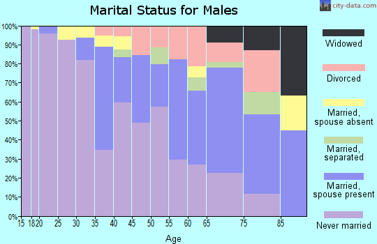 Zip code 14209 marital status for males