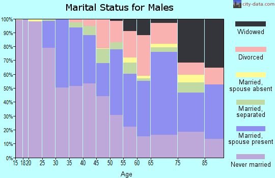 Zip code 14211 marital status for males