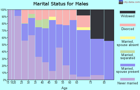 Zip code 14219 marital status for males