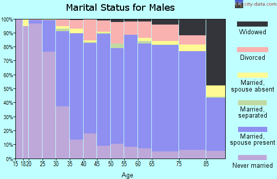 Zip code 14221 marital status for males