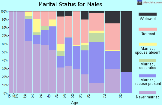 Zip code 14301 marital status for males