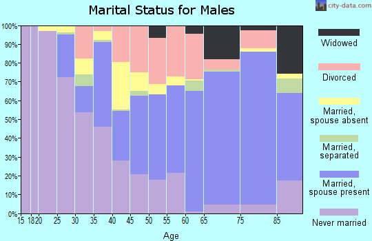 Zip code 14411 marital status for males