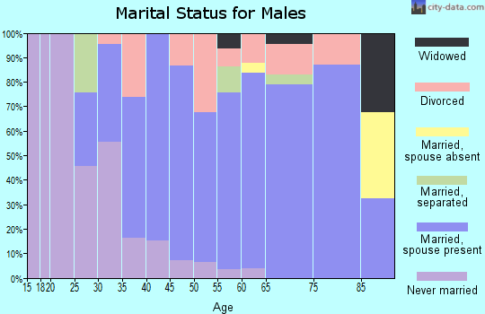 Zip code 14414 marital status for males
