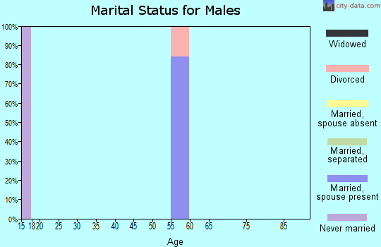 Zip code 14415 marital status for males