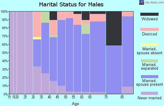 Zip code 14416 marital status for males