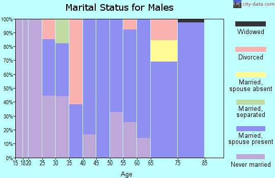 Zip code 14418 marital status for males