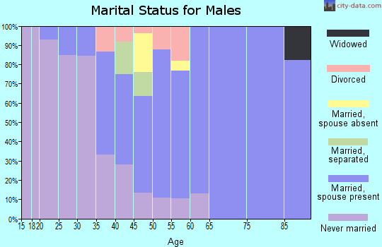 Zip code 14422 marital status for males