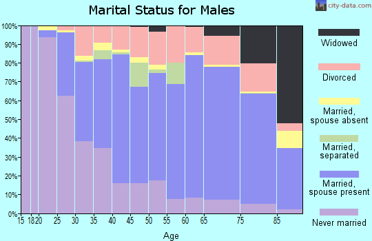 Zip code 14424 marital status for males