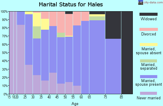 Zip code 14425 marital status for males