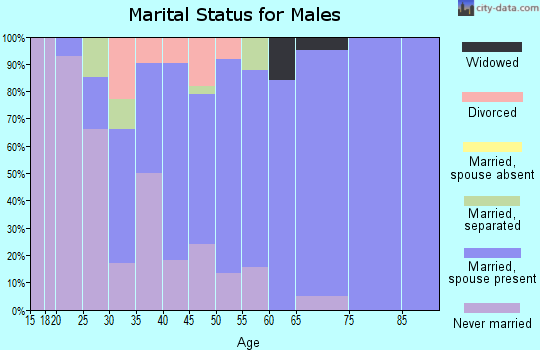 Zip code 14427 marital status for males