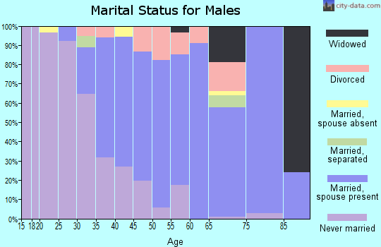 Zip code 14428 marital status for males