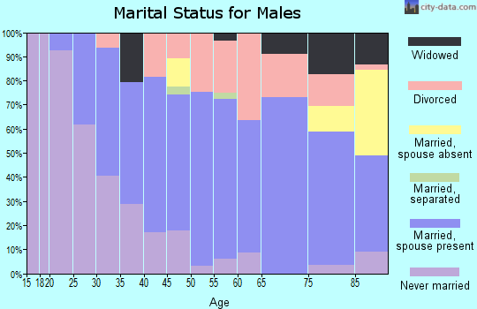 Zip code 14432 marital status for males