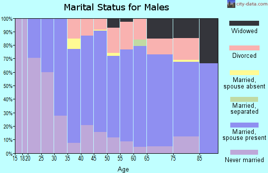Zip code 14433 marital status for males