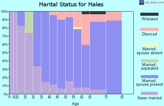 Zip code 14435 marital status for males
