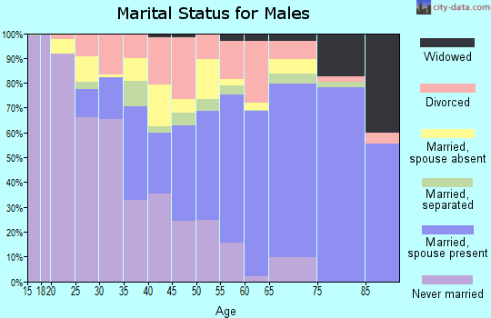 Zip code 14437 marital status for males