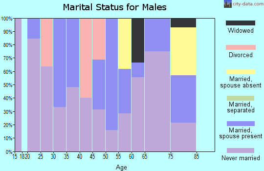 Zip code 14441 marital status for males