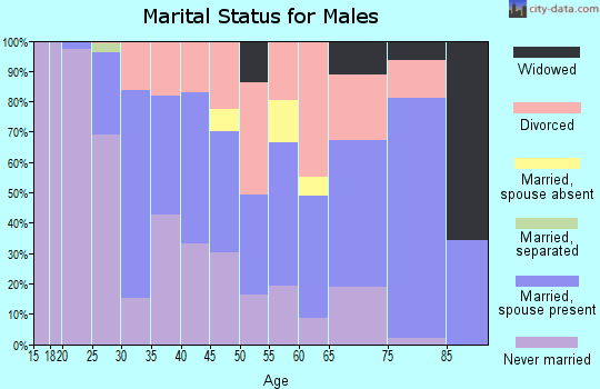 Zip code 14445 marital status for males