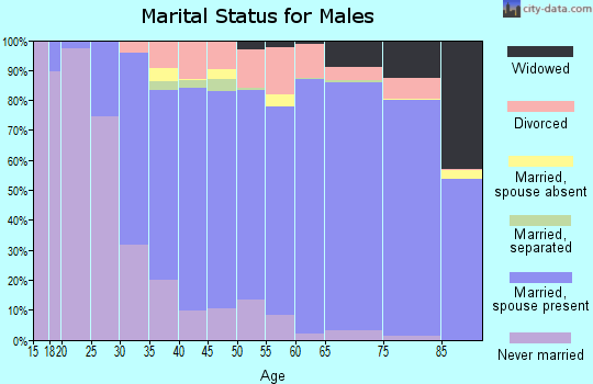 Zip code 14450 marital status for males