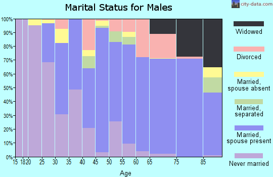 Zip code 14454 marital status for males