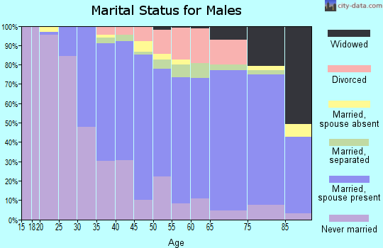 Zip code 14456 marital status for males