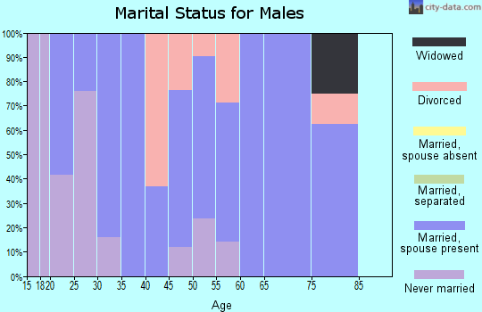 Zip code 14462 marital status for males
