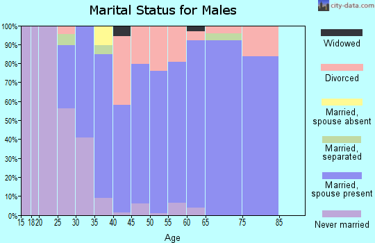 Zip code 14464 marital status for males