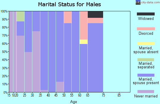 Zip code 14466 marital status for males