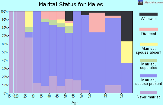 Zip code 14467 marital status for males