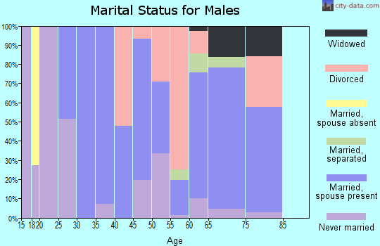 Zip code 14471 marital status for males