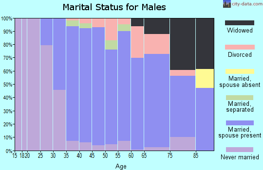 Zip code 14472 marital status for males