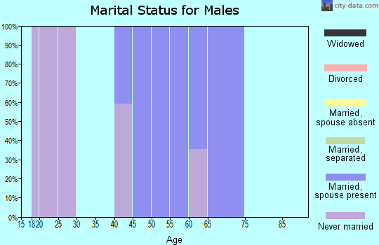 Zip code 14475 marital status for males