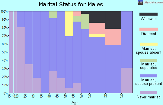 Zip code 14476 marital status for males