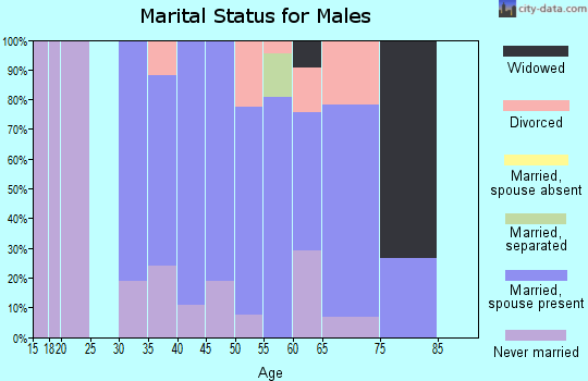 Zip code 14477 marital status for males