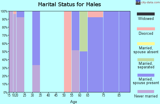 Zip code 14478 marital status for males
