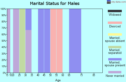 Zip code 14480 marital status for males