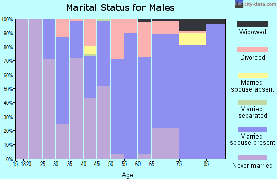 Zip code 14481 marital status for males