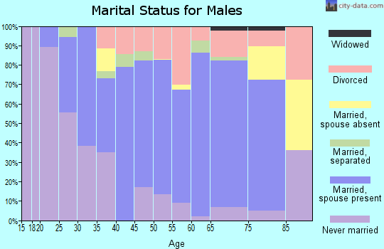 Zip code 14482 marital status for males