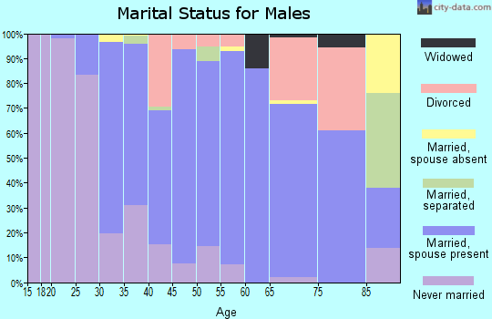 Zip code 14485 marital status for males