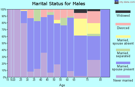 Zip code 14487 marital status for males